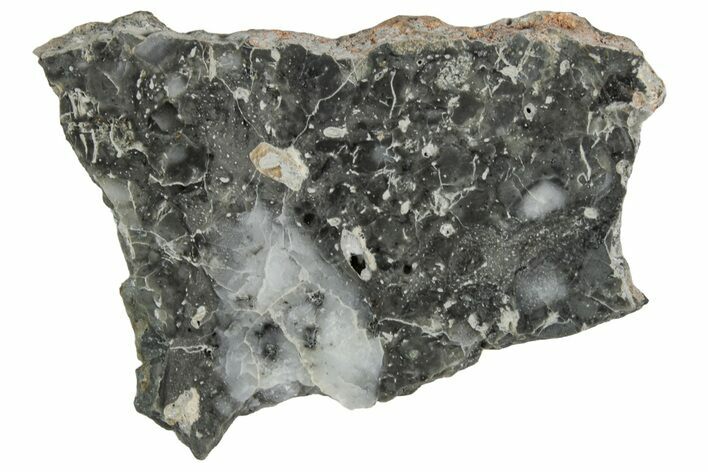 Polished Lunar Meteorite ( g) Slice - Adrar #355991